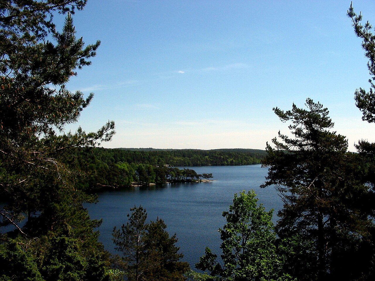 Naturen en spårvagn bort – guide till Delsjöområdets naturreservat